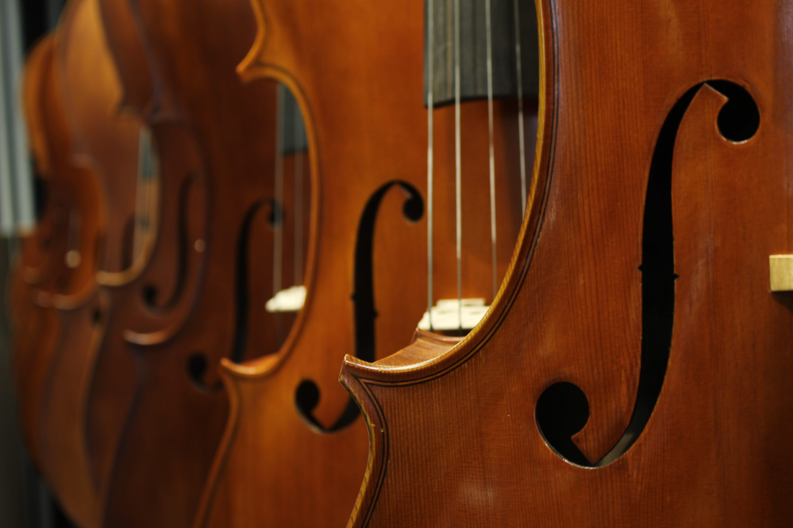 a row of violins