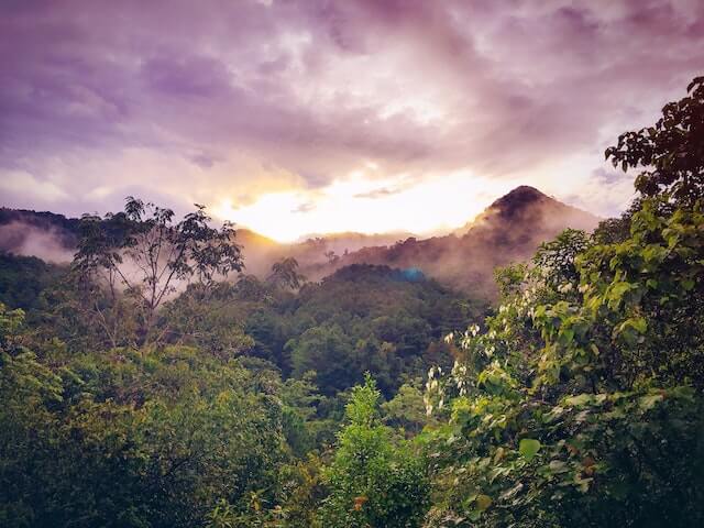 Beautiful view of the rainforest, sky and mountains