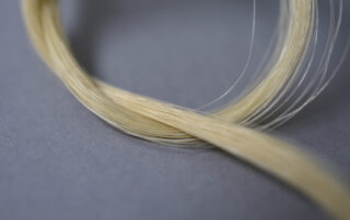 close up of bow hair