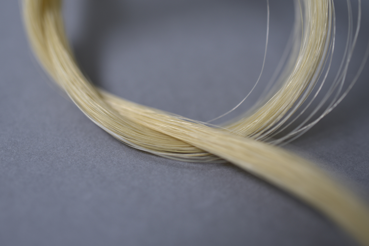close up of bow hair