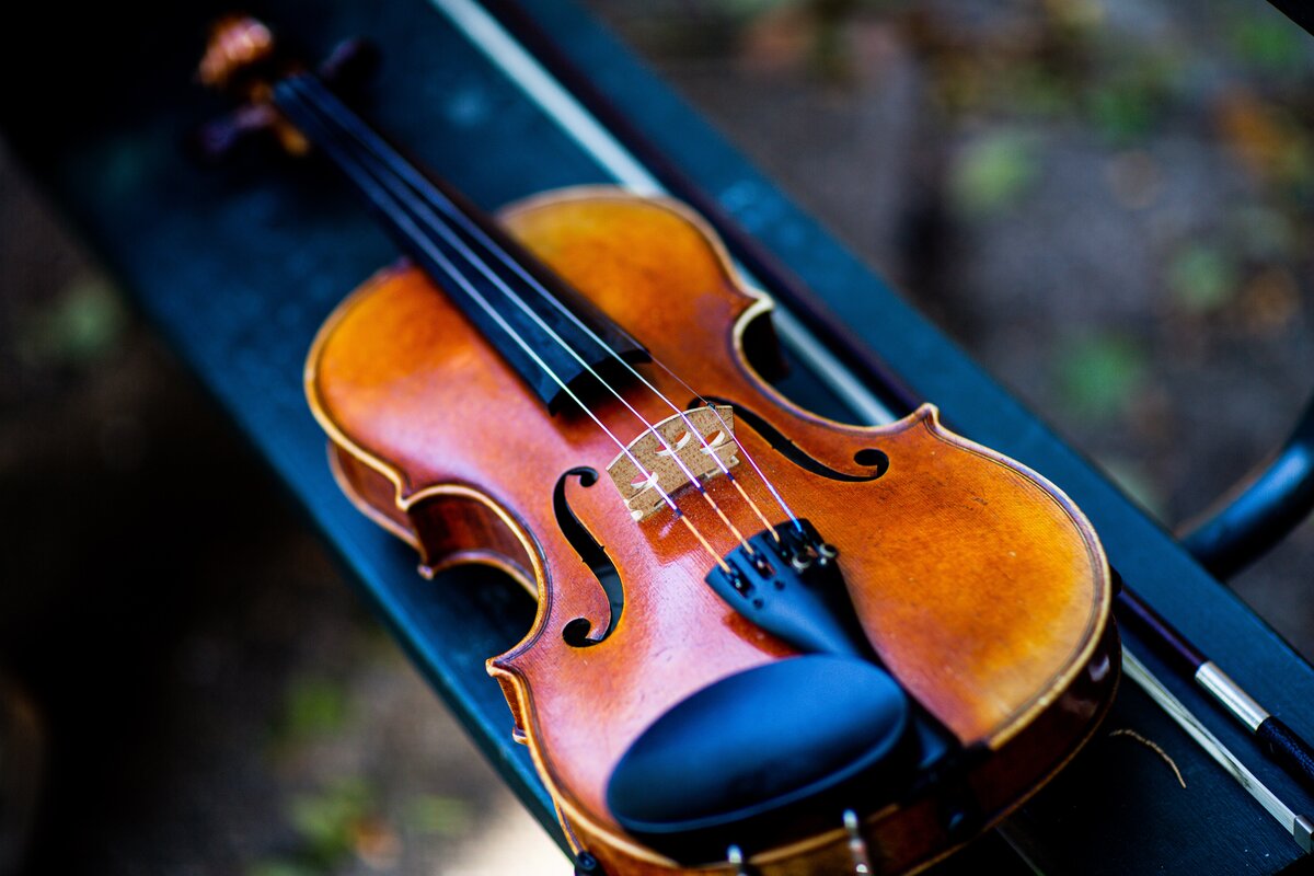 close up photo of a violin