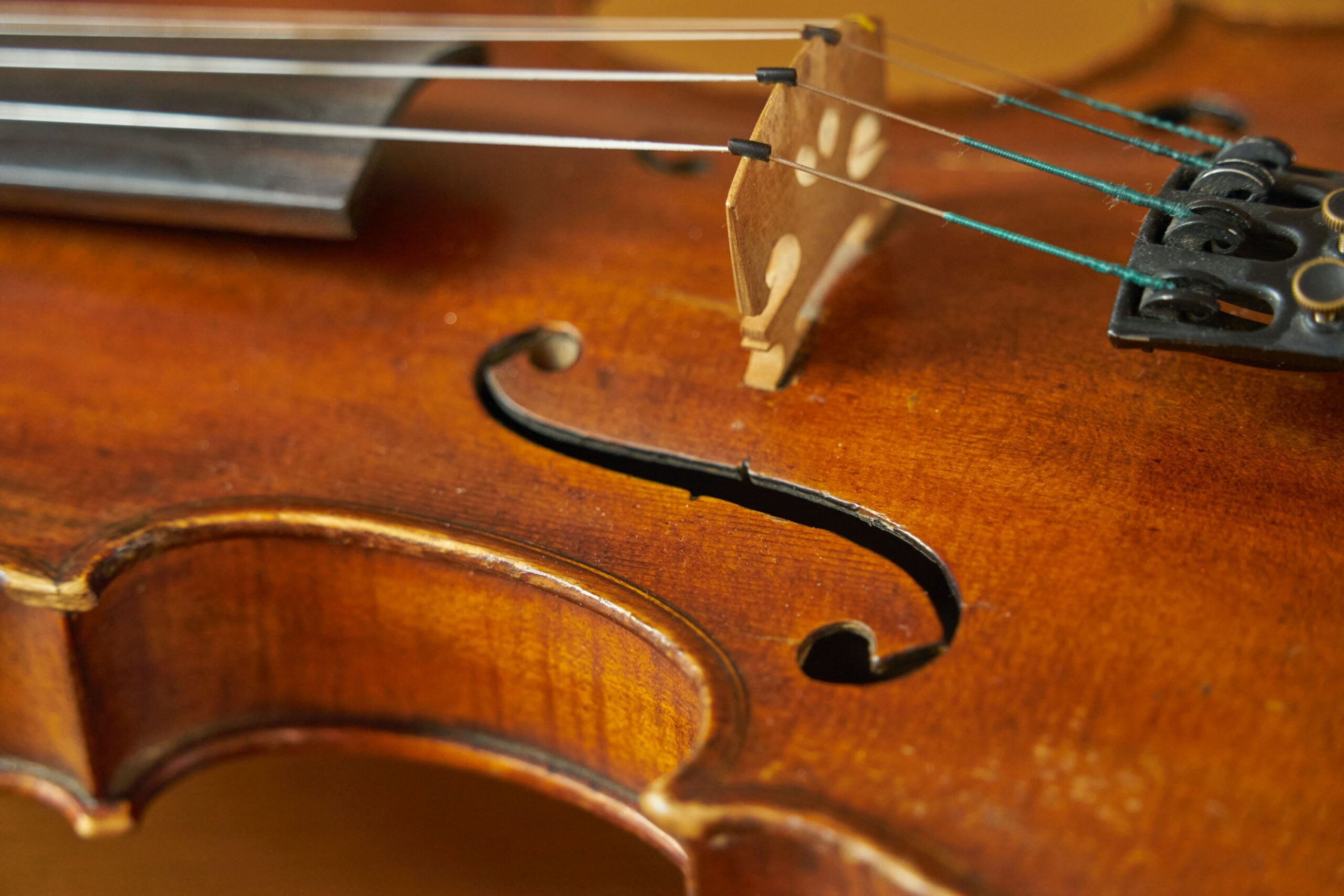 a closeup of a violin