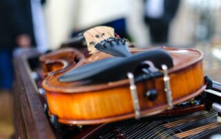 side of a violin