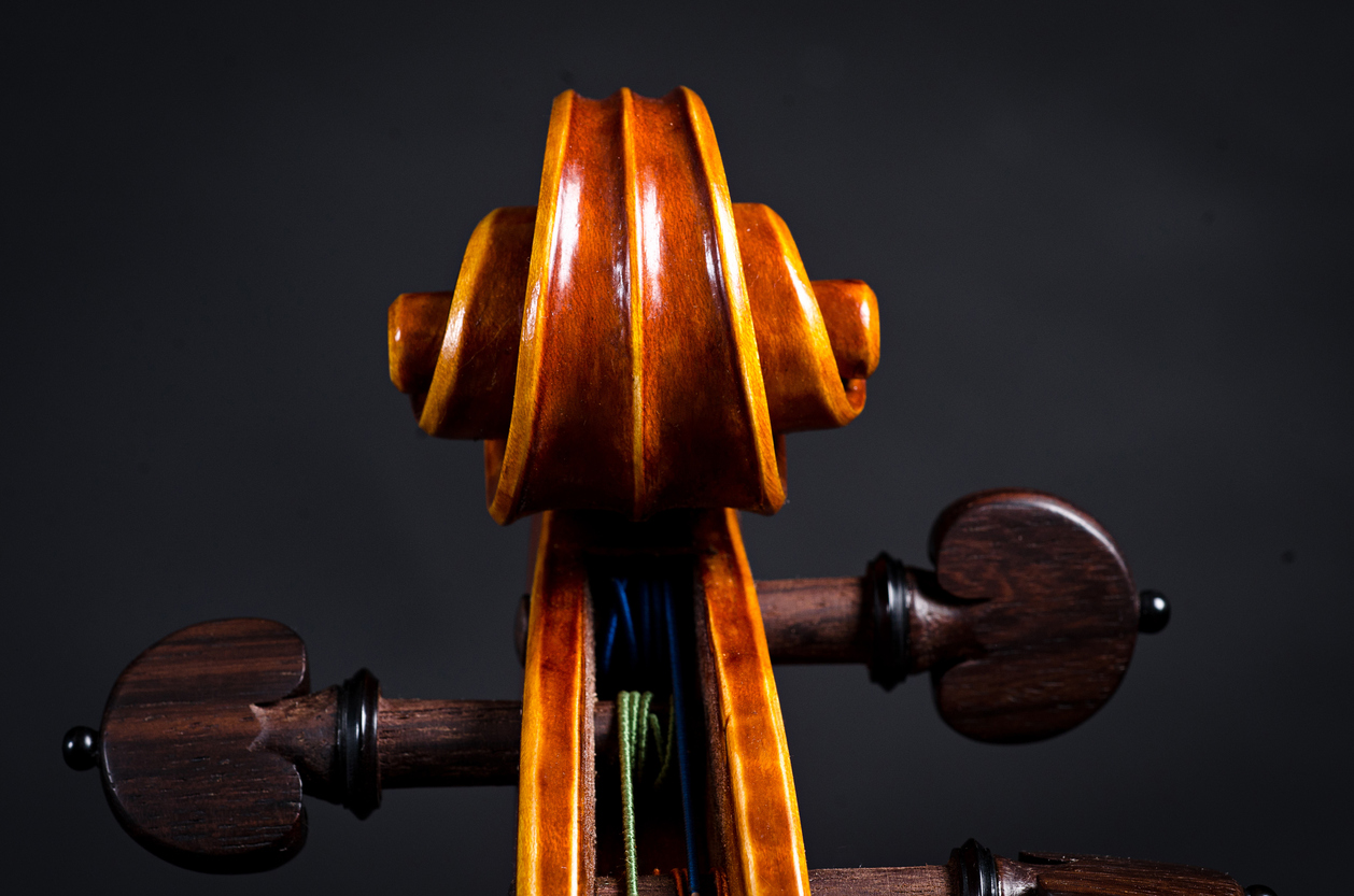 The view of a violin head on black background